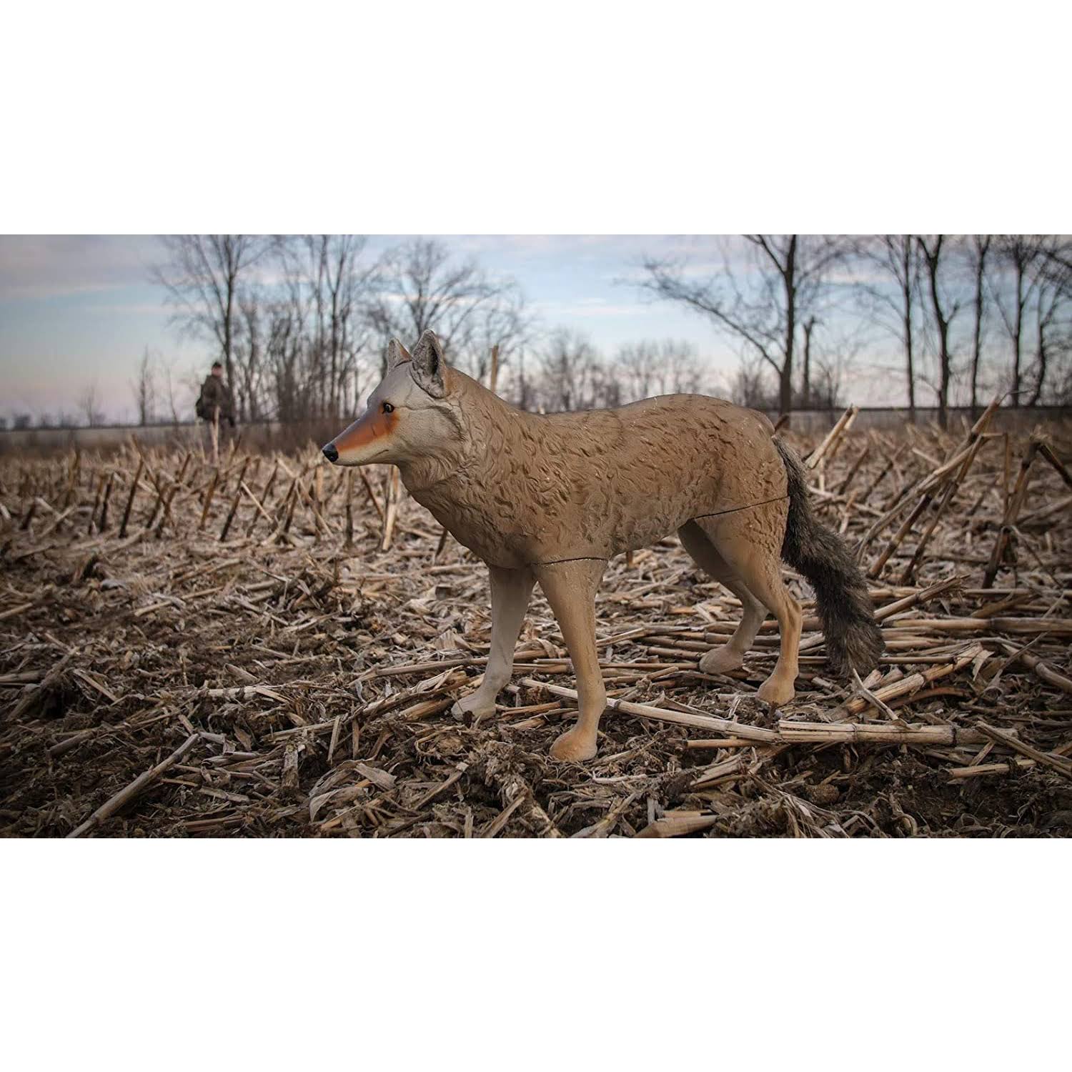 Flambeau Lone Howler Coyote Decoy - Image 3