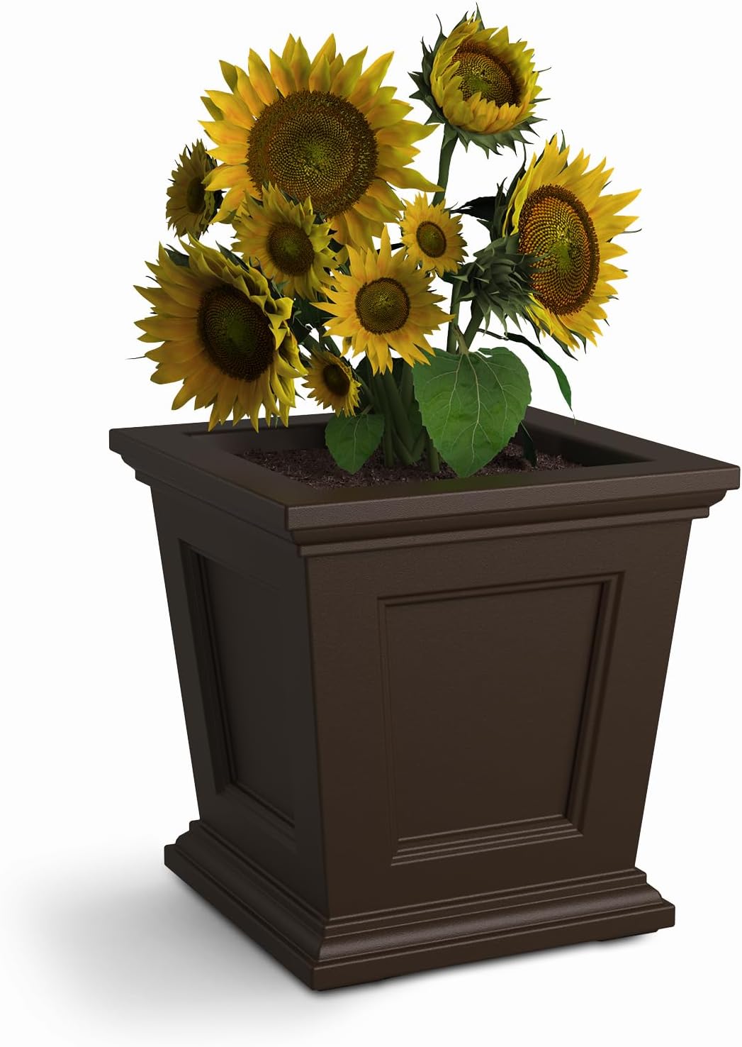 Mayne Fairfield 16in Square Planter – Espresso – Durable Self Watering Resnin Planter (5887-ES)