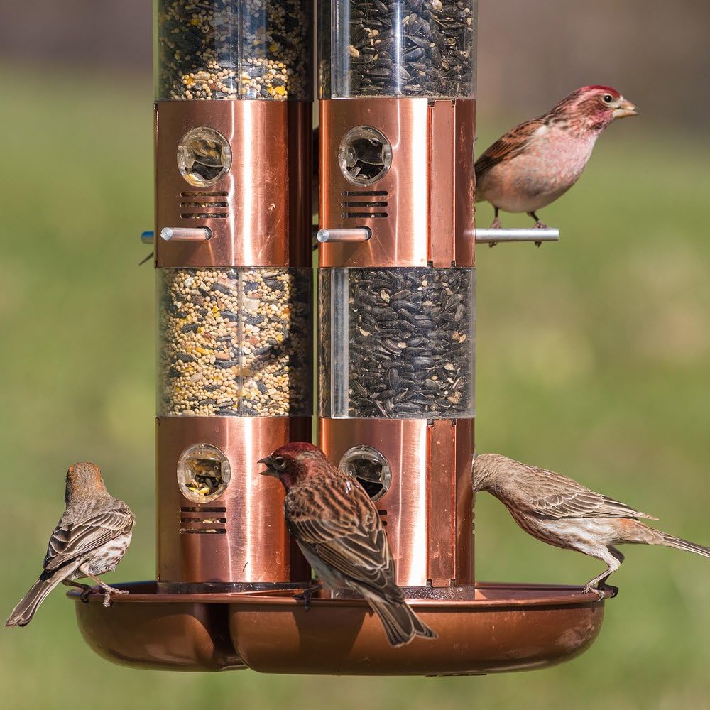 Perky-Pet 7103-2 Copper Finish Triple Tube Bird Feeder - Image 4