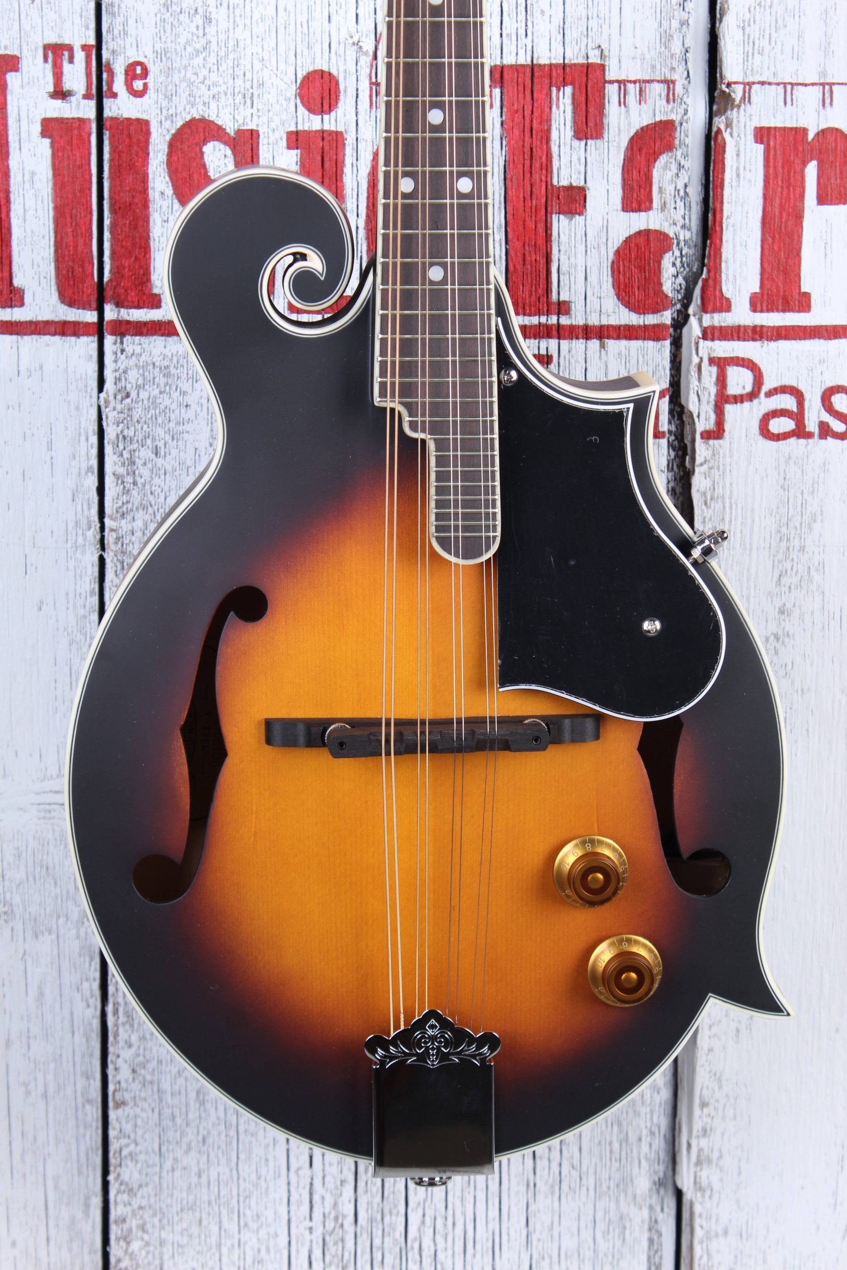 Washburn Mandolin Pack