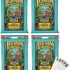FoxFarm Ocean Forest Potting Soil Mix Indoor Outdoor for Garden and Plants | Plant Fertilizer | 12 Quarts (4 Pack) | The Hydroponic City Stake