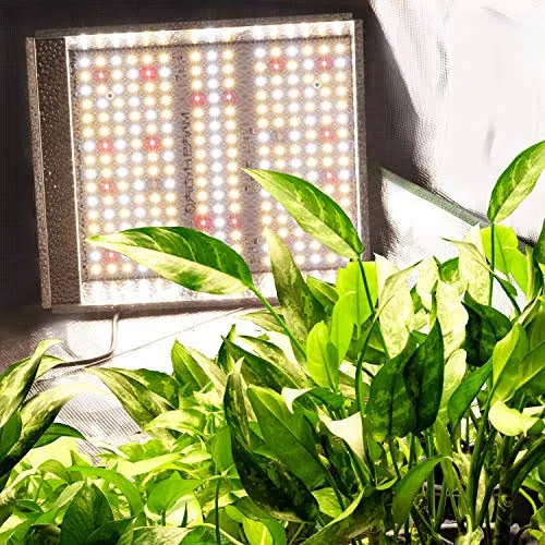 Mars Hydro TS 600W LED Grow Light 2×2 ft Sunlike Full Spectrum LED Grow Lamp - Image 7