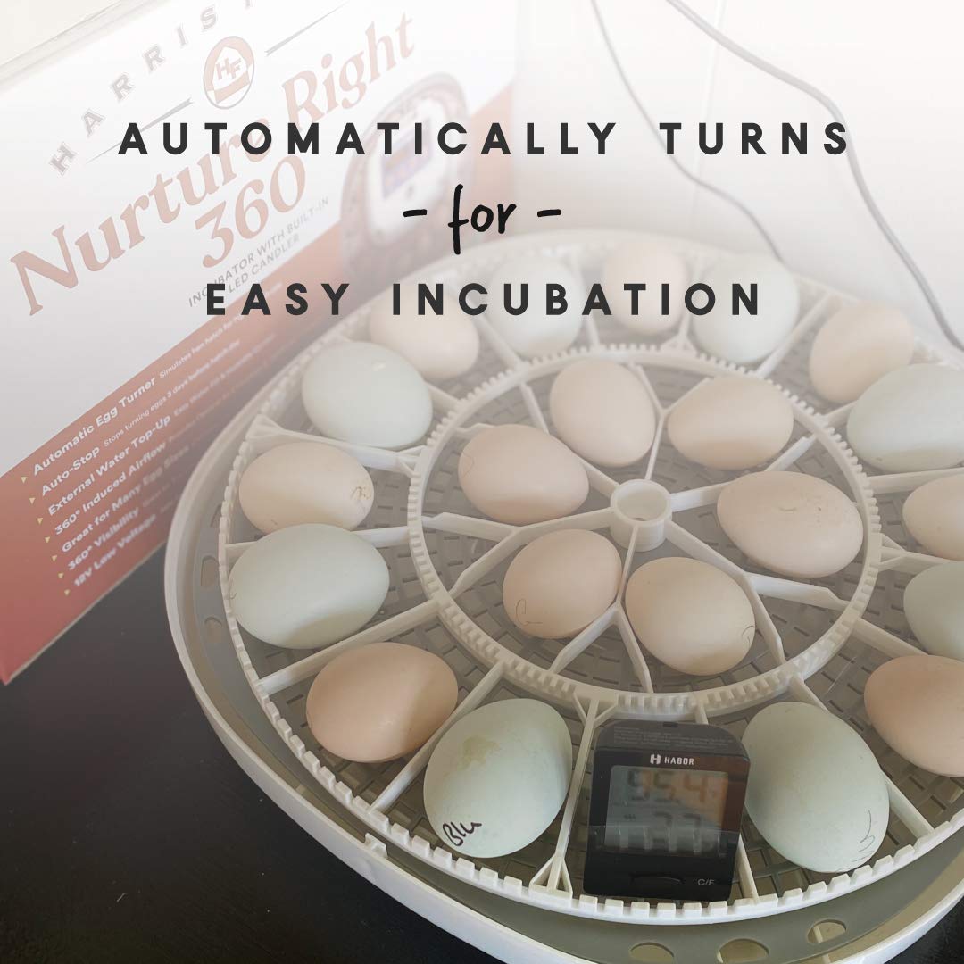 Manna Pro Harris Farms Nurture Right Incubator | Egg Incubator for Hatching Chicks | 360 Degree View - Image 6